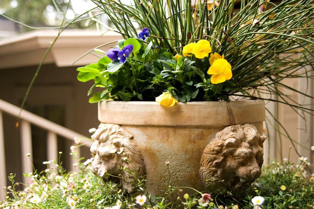 Carmel Country Inn Экстерьер фото